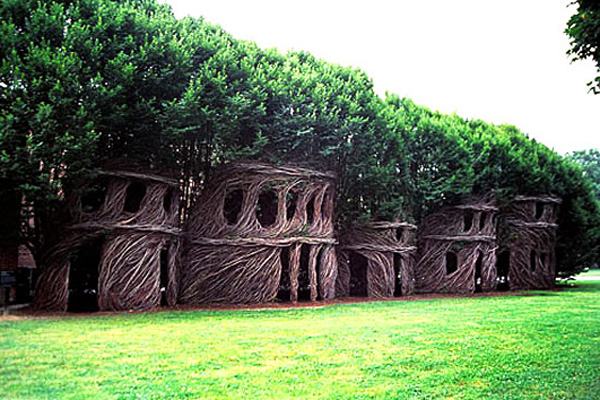 Living Wood Tree House Living Structures Living Wood Tree House Living Structures